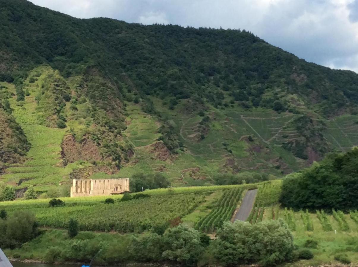 Ferienhaus Mosel 2.0 Брем Екстериор снимка